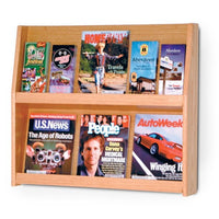 12 POCKET, 2 SHELF LITERATURE DISPLAY - Braeside Displays